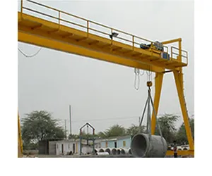 Eot Crane Manufacturer and Suppliers in India